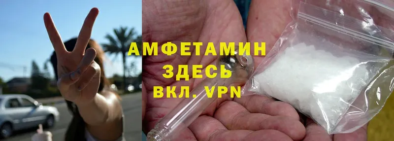 Amphetamine Розовый  Лосино-Петровский 